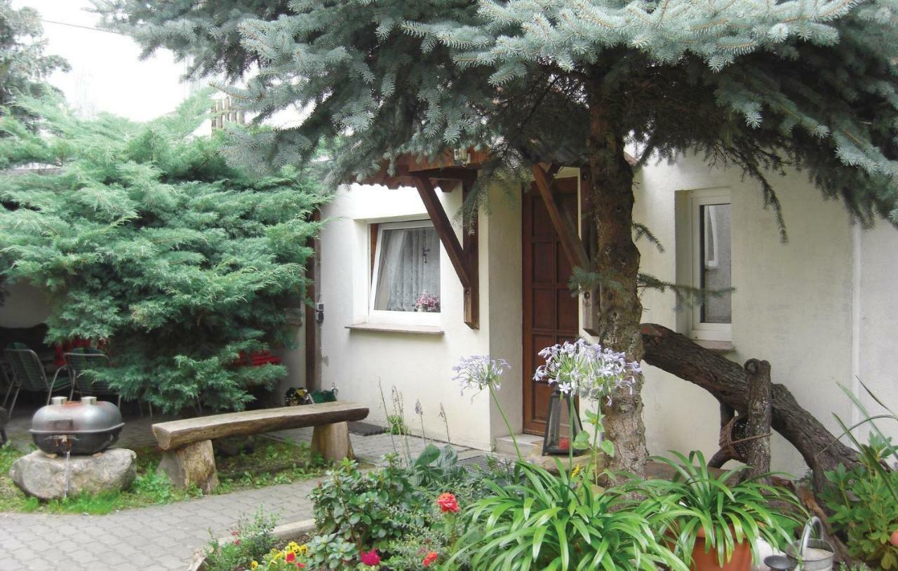 Lovely Home In Heideblick With Kitchen Langengrassau Exteriör bild